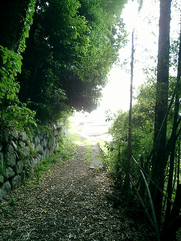 20100530_12.jpg